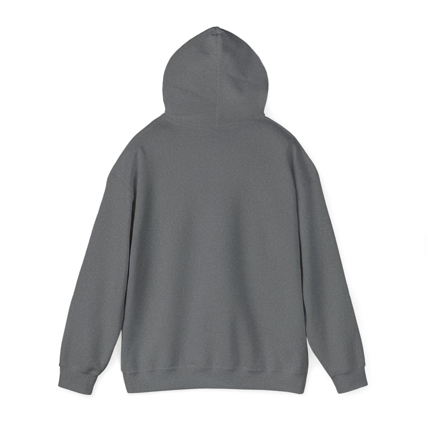Lane 4 Hoodie